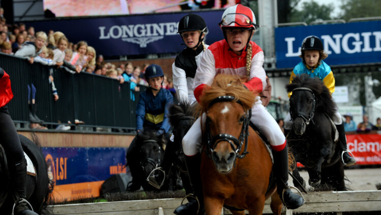 Pony Jockey Race 3