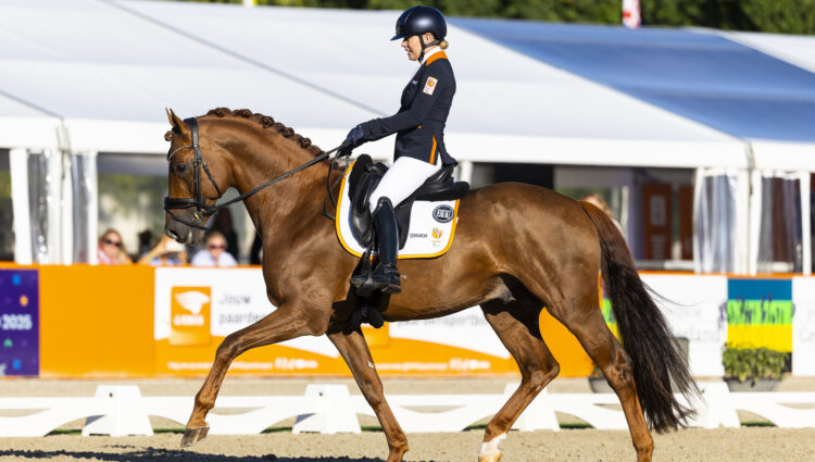 Rixt van der Horst