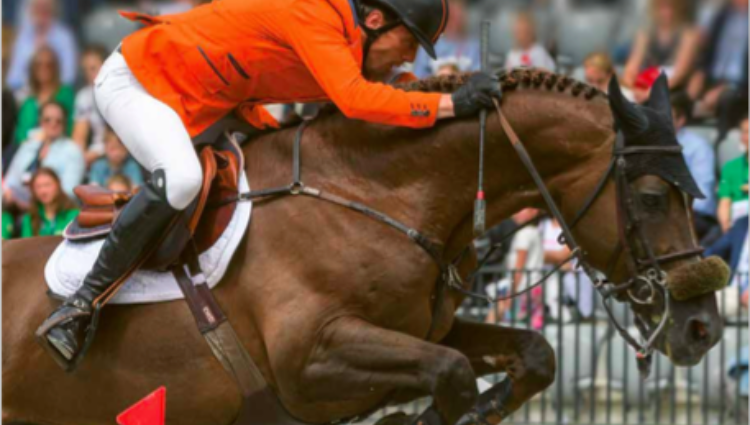 Schermafbeelding 2019 01 25 Om 16 28 39