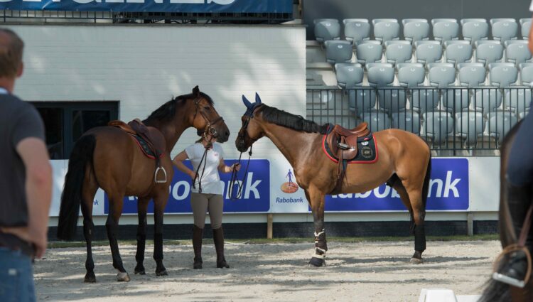 Springen Training hoofdstadion sfeer DSC0696