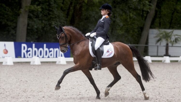 VAN ZWAMBAGT Febe FS DR WATSON