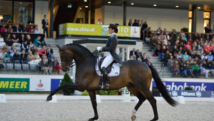 Vilhemson Silven T CDIO Freestyle winner