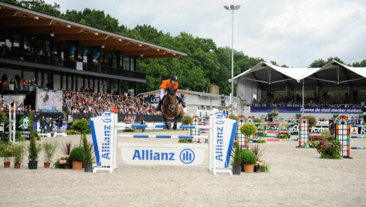 Vleut Allianz