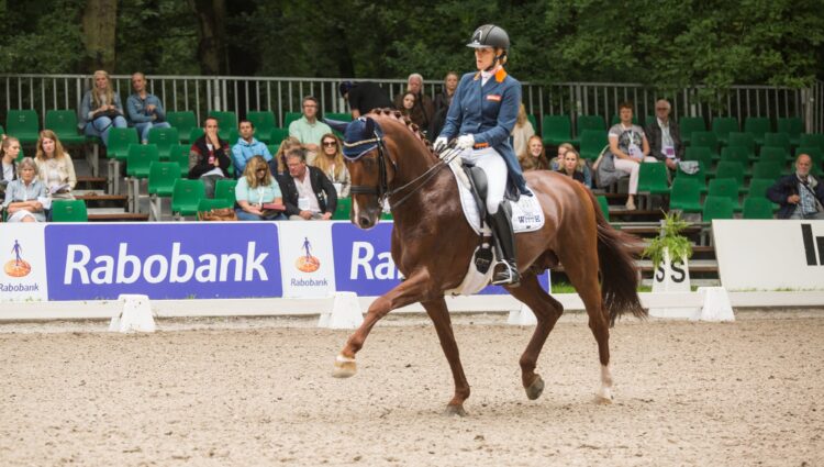 WITTE VREES Madeleine Cennin CDI3 NED