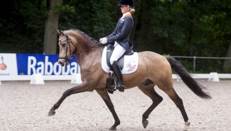 Winnaarpony VOS Sanne TC CHAMP OF CLASS DVB Border Maker