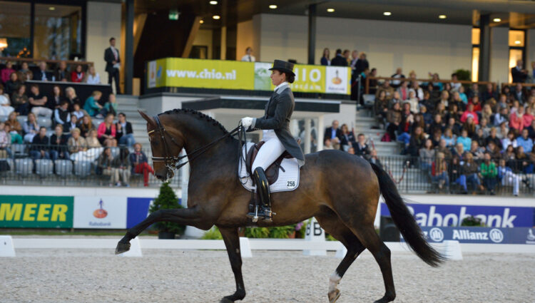 Winnares kur DWF 6306 Border Maker