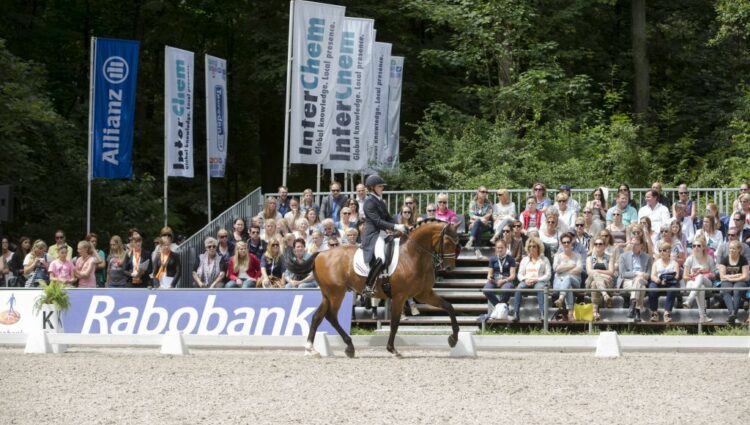 Young riders HUYBREGTS Jill EVENTZ ZAMACHO Z 3