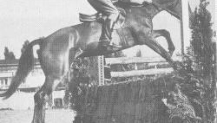 Bernhard