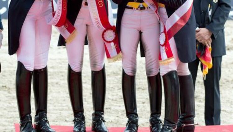 Dressuur herning