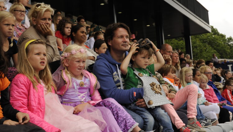 Ridders prinsesjes