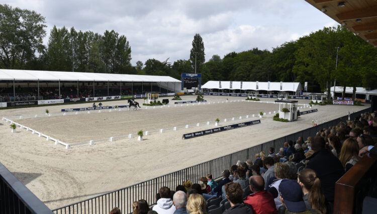 Rsz 1overzicht dressuurring