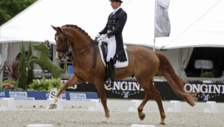 Rsz 1patrikkittelscandic winnaar