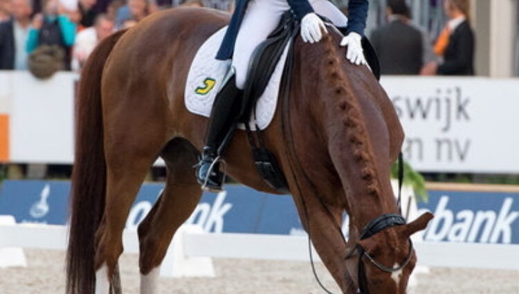 Rsz adelinde cornelissen na de rit 1