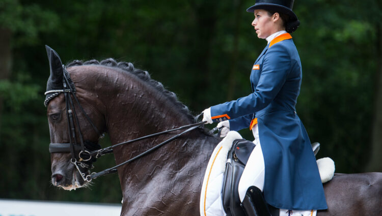 Rsz d8 danielle van mierlo ucento 4