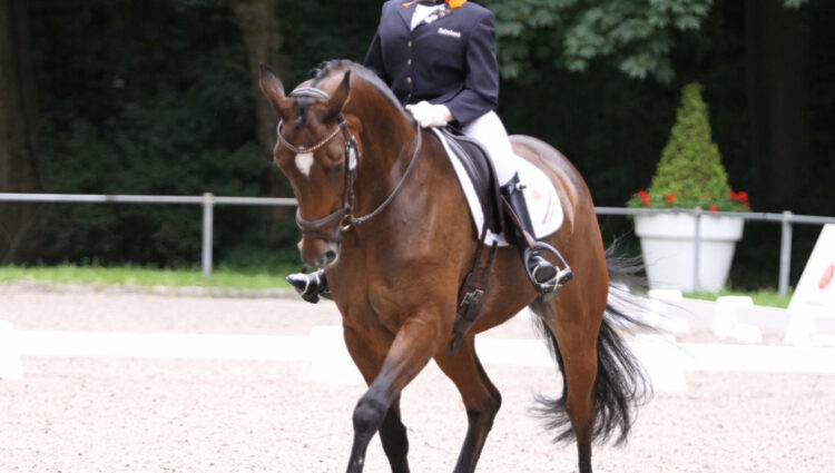 Rsz demi vermeulen 3