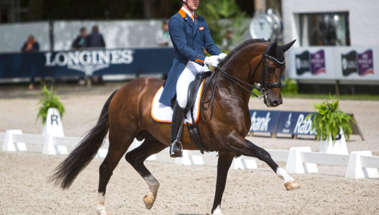 Rsz diederickvansilfhout arlando