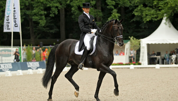 Rsz edward gal zonik 01