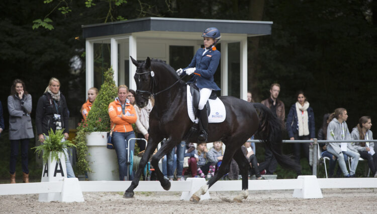 Rsz krijnsen lotte 3