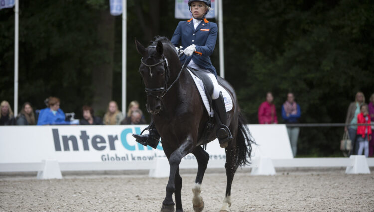 Rsz krijnsen lotte 8