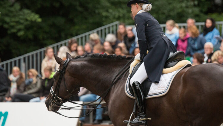 Rsz maxinme van der vlist bailey ned 6616