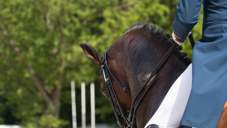 Rsz patrick van der meer uzzo 4