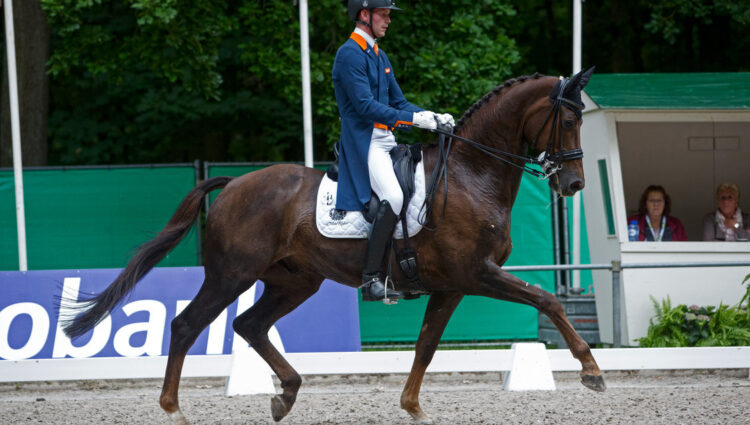Rsz van silfhout diederik bonzanjo 3