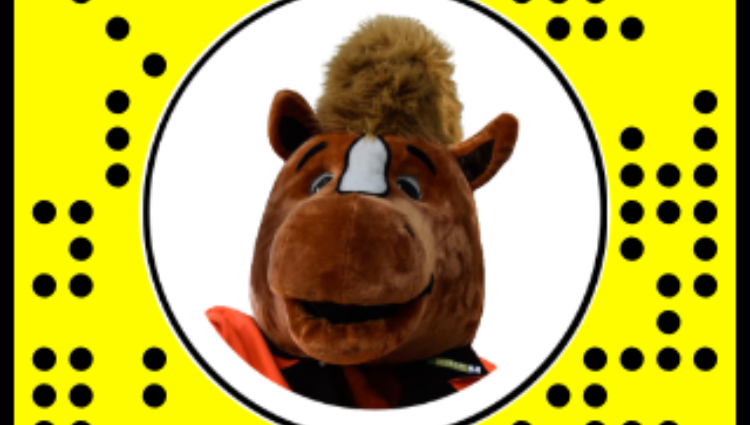 Snapcode