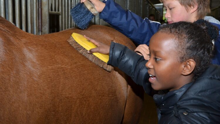 Werken als een paard