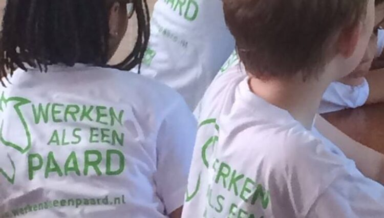 Werkenalseenpaard spec